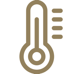 Thermometer icon